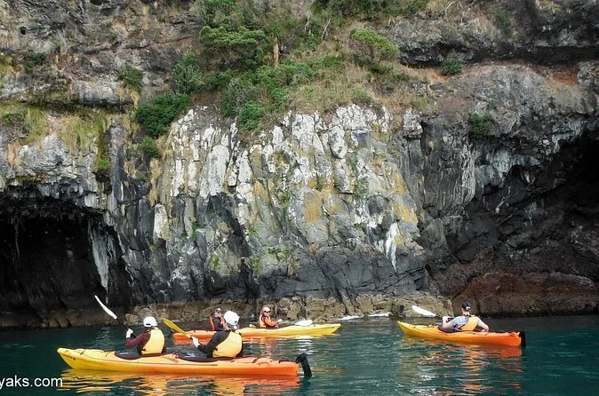 Sea kayaks paddling past a cave in the cliffs of the marine reserve